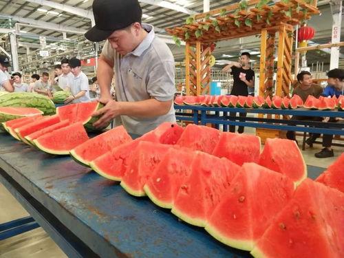 工厂吃瓜比赛,吃瓜比赛欢乐无限