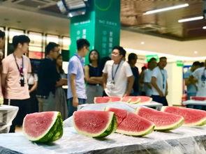 工厂吃瓜比赛,吃瓜比赛欢乐无限