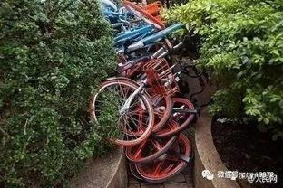 吃瓜共享单车,吃瓜族如何玩转“吃瓜共享单车”