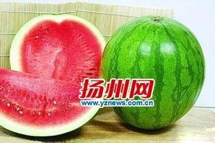 发烧吃籽瓜好吗,发烧期间食用籽瓜的适宜性探讨