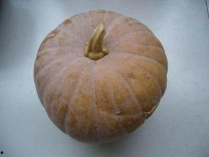 盾子吃瓜,揭秘娱乐圈背后的秘密与真相