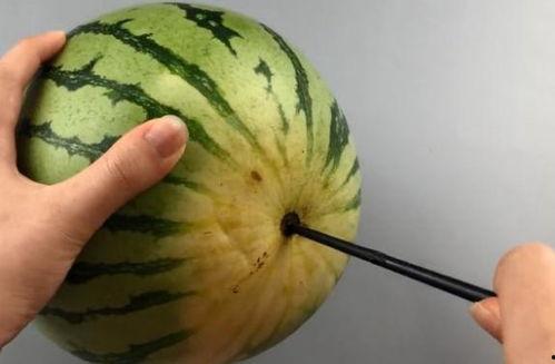 吃瓜筷子倒了,揭秘背后的惊人真相