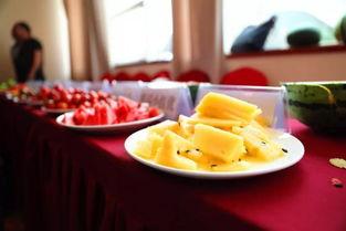 台州学院吃瓜,揭秘校园里的“吃瓜”文化现象