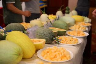 台州学院吃瓜,揭秘校园里的“吃瓜”文化现象