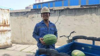 吃瓜群众是幸福的人,幸福人生的旁观者视角