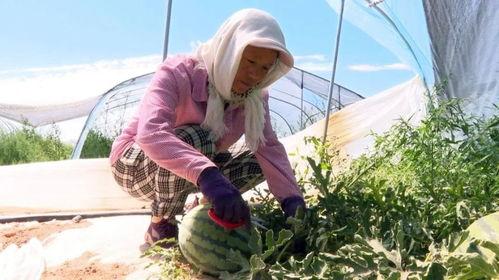 吃瓜群众是幸福的人,幸福人生的旁观者视角