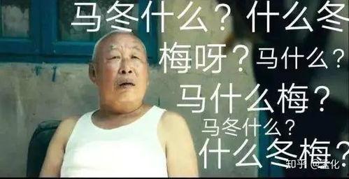 吃瓜少女马冬梅