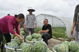 吃瓜群众绵阳,吃瓜群众眼中的城市风采