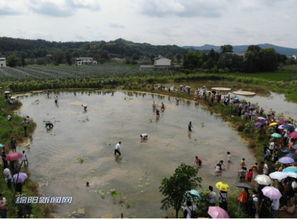 吃瓜群众绵阳,吃瓜群众眼中的城市风采
