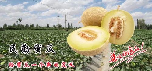 小梦吃蜜瓜,甜蜜滋味,回味无穷